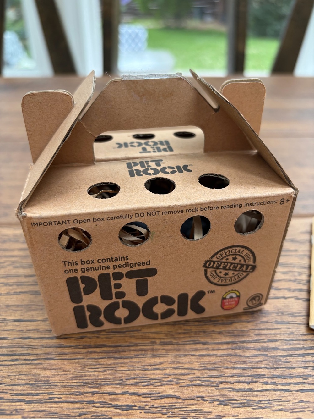 PET ROCK